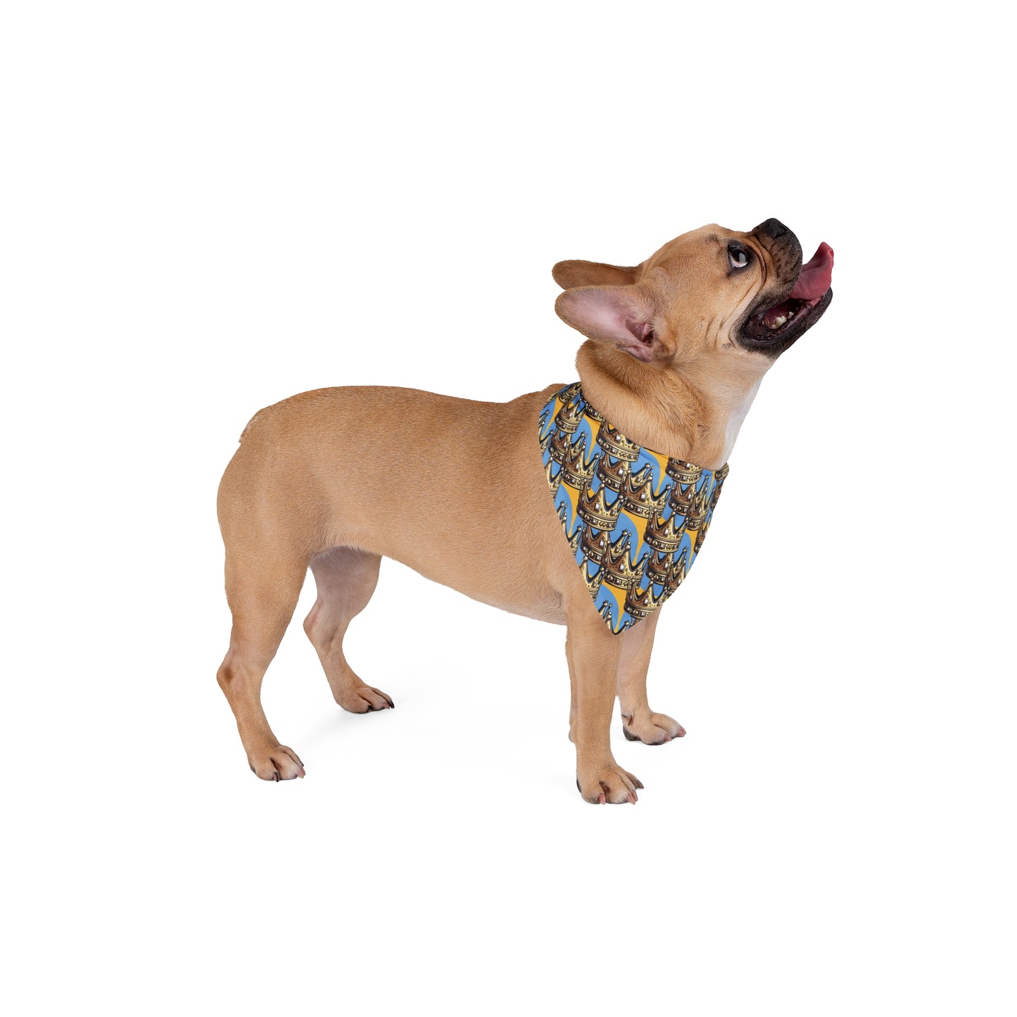 Biggie Pet Bandana